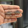 Silver Plated Casual Wear Oxidized Hook Earrings 7 photo 2026 05 31 15 11 00