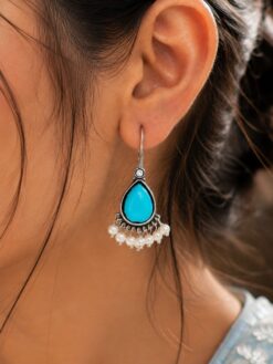 Casual Wear Drop Earrings Hook Style