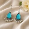 Casual Wear Drop Earrings Hook Style