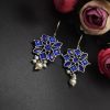 Oxidised-Stone-Hook-Earrings-Daily-Wear-Earrings