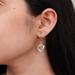 Oxidised Dolphin Fish Earrings | German Silver Hook Earrings For Dailywear
