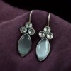 Casual Wear Oxidised Earrings | Affordable Hook Earrings | Earrings Under 100Rs 23 photo 2025 09 21 13 41 53