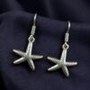 Ethnic Star Fish Hook Earrings | German Silver Dangler Best Jewelry 5 German silver ethnic star fish hook earrings