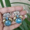 Beautiful Two-Tone Elephant Studs Earring for Daily wear Jewelry 19 Traditional oxidized elephant studs earring stylish animal motif jewelry for women