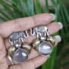 Beautiful Two-Tone Elephant Studs Earring for Daily wear Jewelry 18 Traditional oxidized elephant studs earring stylish animal motif jewelry for women